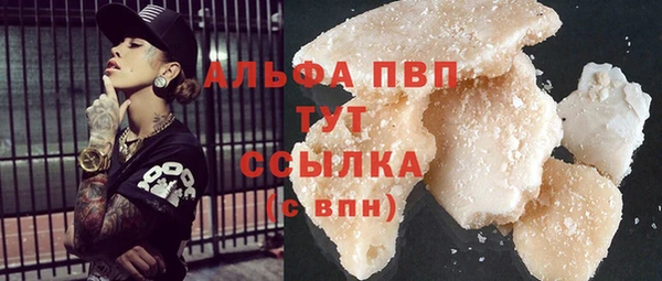 apvp Гусиноозёрск