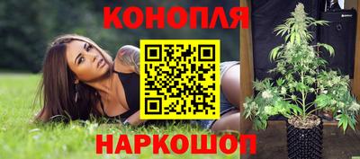 сатива Бузулук