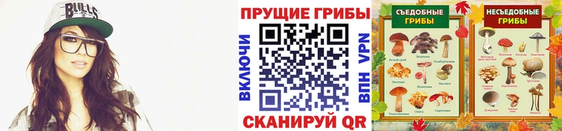 MEGA онион  Дзержинский  Псилоцибиновые грибы мухоморы 