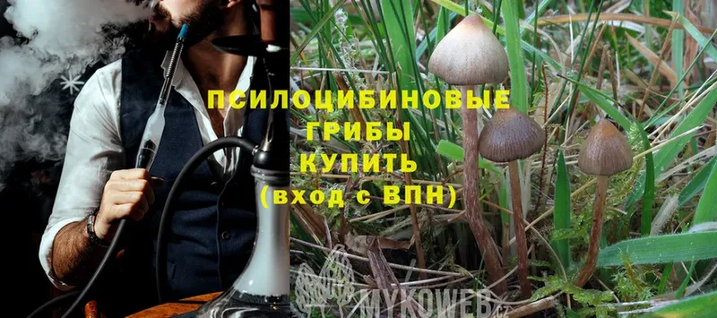 Галлюциногенные грибы Magic Shrooms  hydra как зайти  Дзержинский 