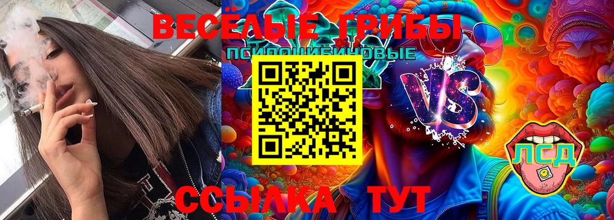 Дзержинский  Псилоцибиновые грибы MAGIC MUSHROOMS  Вход с VPN  Псилоцибиновые грибы Cubensis 
