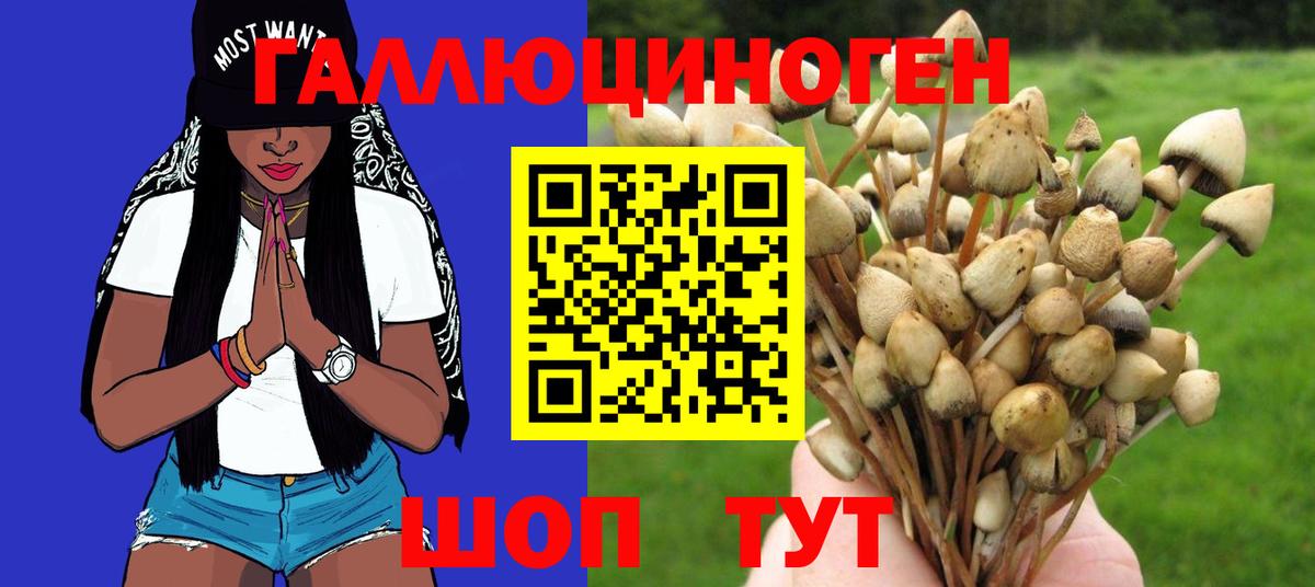 Псилоцибиновые грибы мухоморы  Дзержинский 